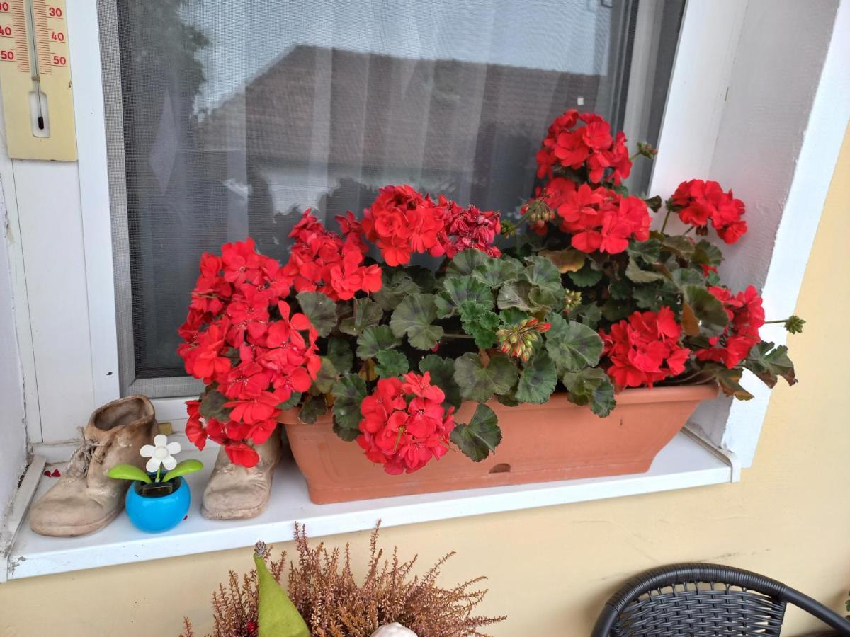 Oazis Apartman Sarospatak Bagian luar foto